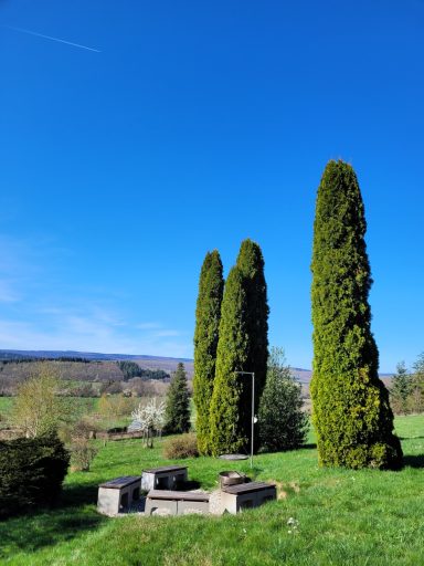 Großes Ferienhaus für Gruppen in Schmißberg, Nationalparkregion Hunsrück-Hochwald. Platz für bis zu 15 Personen