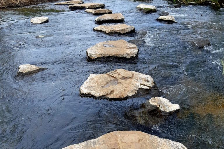 Nationalpark-Region Hunsrück-Hochwald, Erlebnisse, Abenteuer im Hunsrück, Wanderungen, Radtouren, Naturerlebnis, Naturfotografie, Kulinarik, leckeres Essen, Fotografie, Wandern, Biken, Schwimmen, Action, Erholung, Kelten und Römer. Urlaub in Rheinland-Pfalz, Birkenfeld bei Idar-Oberstein, Nähe Bostalsee und Erbeskopf  