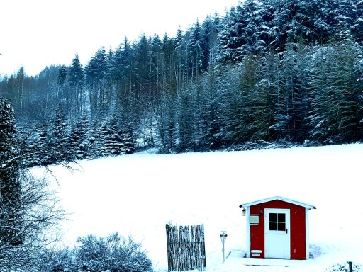 Großes Ferienhaus für Gruppen in Schmißberg, Nationalparkregion Hunsrück-Hochwald. Platz für bis zu 15 Personen